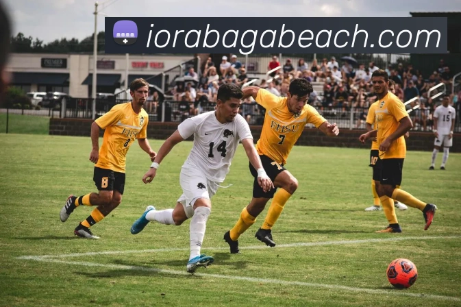 多媒体互动体验