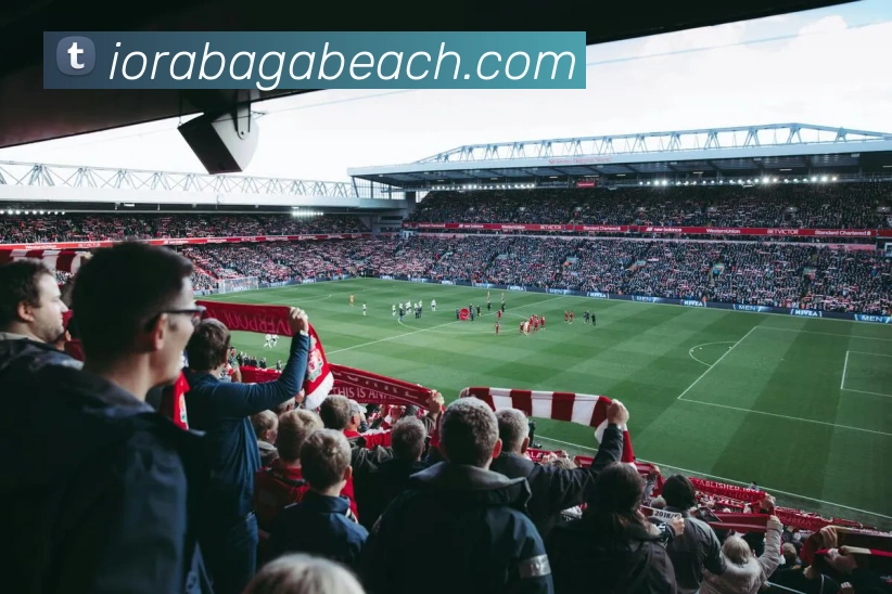 mksports官方公告APP 高清赛事图